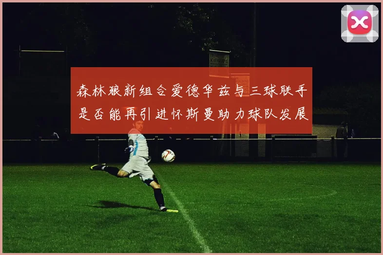 森林狼新组合爱德华兹与三球联手是否能再引进怀斯曼助力球队发展